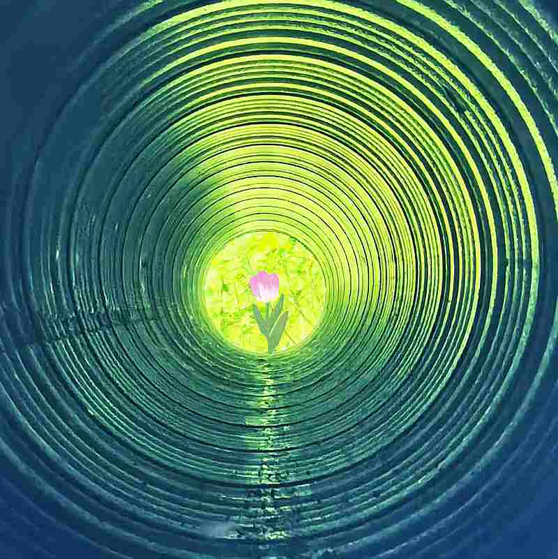 ΢��ͼƬ_2026-06-29_094732_577.jpg